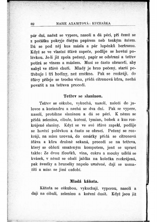 Česká-kuchařka-1895 – strana (90)~1