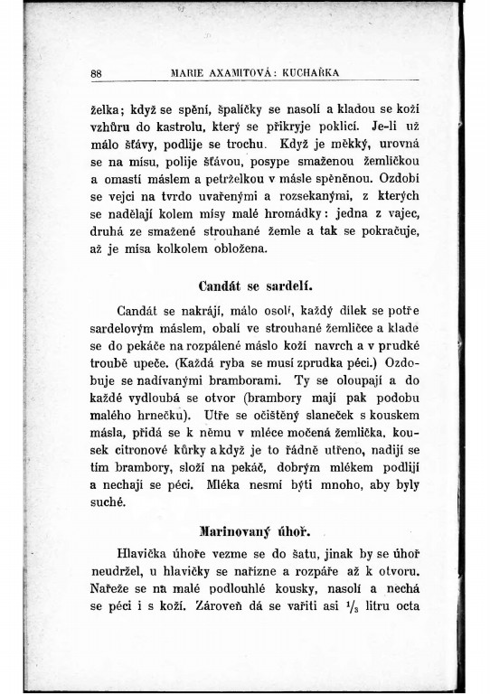 Česká-kuchařka-1895 – strana (96)~1